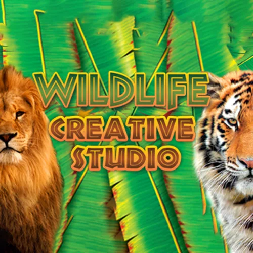 Wildlife Creative Studio (1 zariadenie   Lifetime) (Steam)